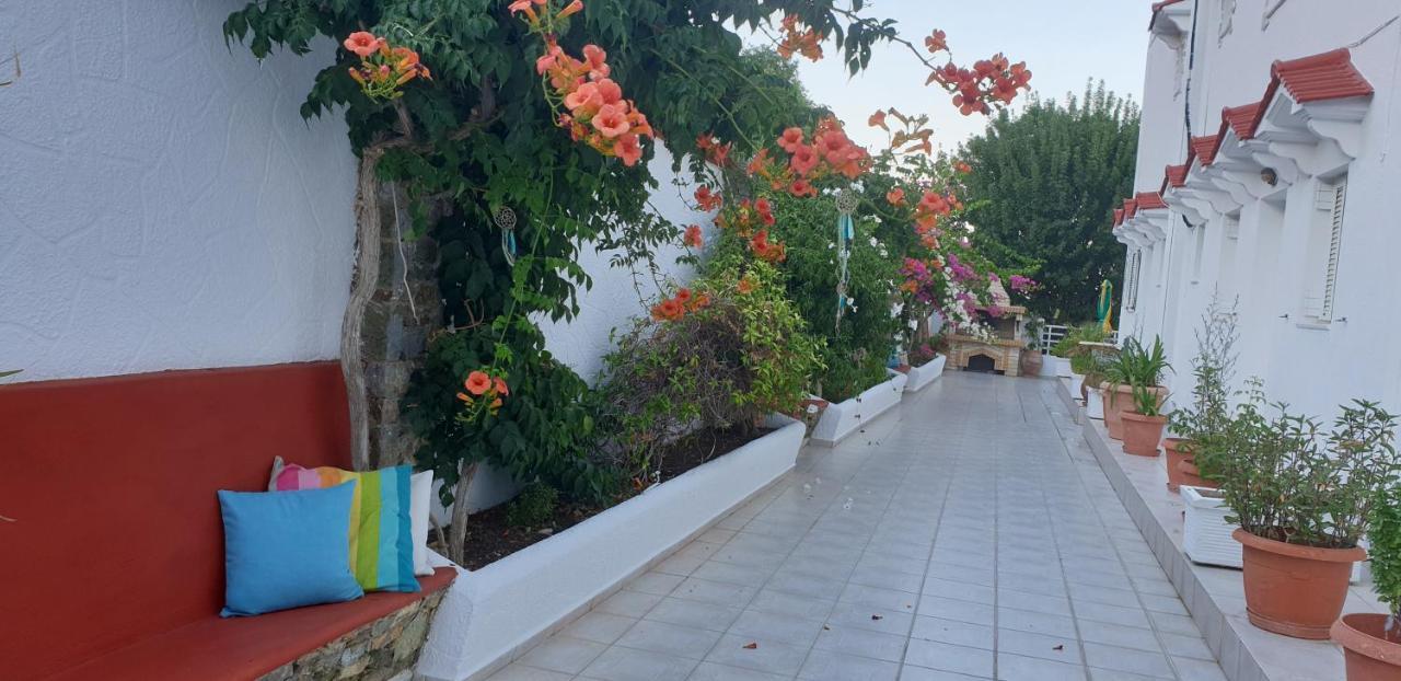 Nikos Livadia (Tilos)