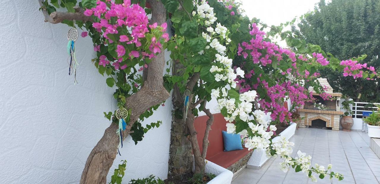 Nikos Apartment Livadia (Tilos)
